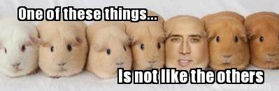 oneofthesethings...is not like the other